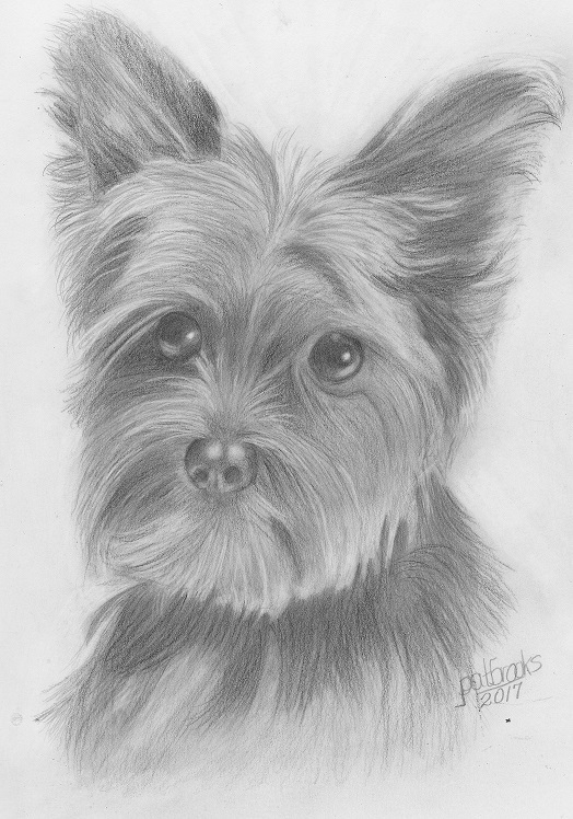 Prismacolor Premier Turquoise Drawing Lead and Holder Premier Art and