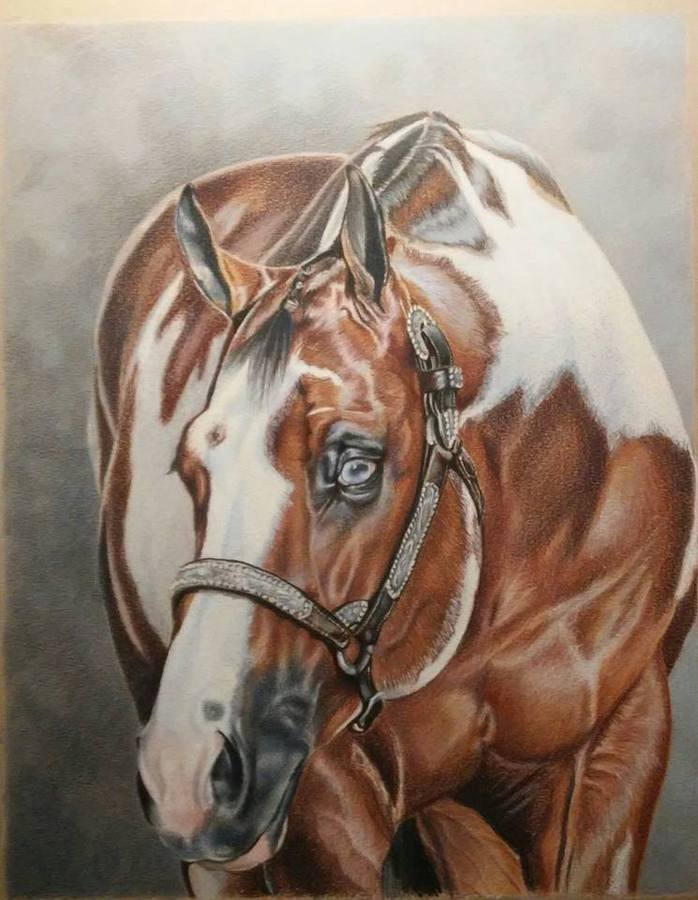 Prismacolor Professional Art Supplies and Accessories Fixatives