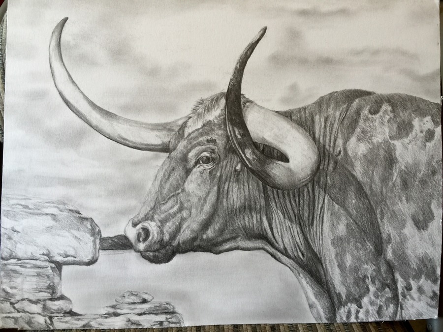 Prismacolor Premier Turquoise Drawing Lead and Holder Premier Art and