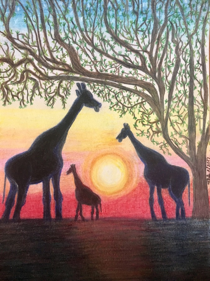 Prismacolor Blender Pencils Colorless Pencil for Easy Blending