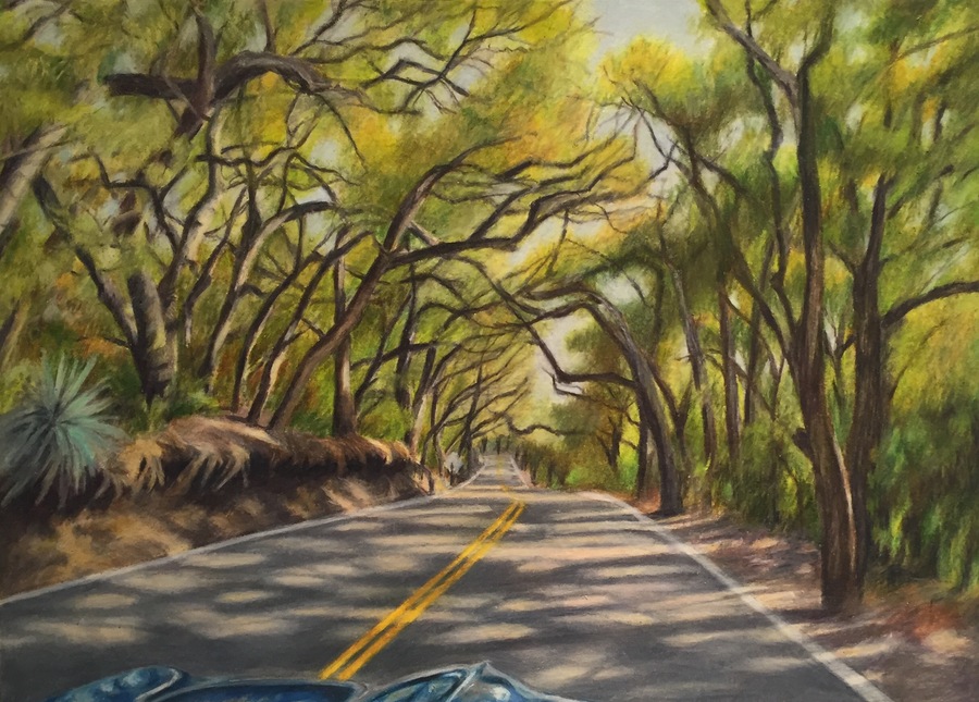 Prismacolor Blender Pencils Colorless Pencil for Easy Blending