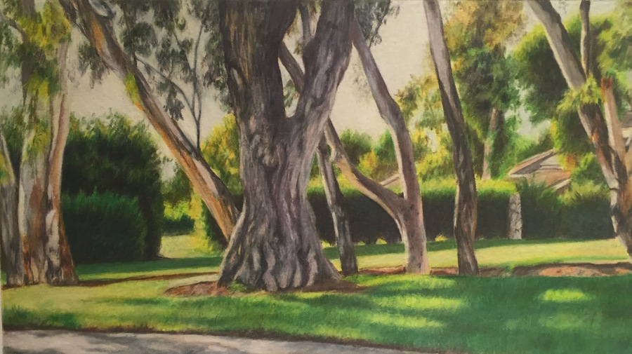 Prismacolor Blender Pencils Colorless Pencil for Easy Blending